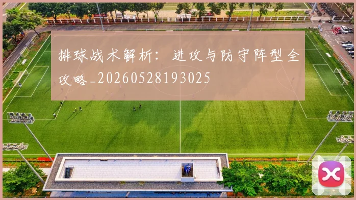 排球战术解析：进攻与防守阵型全攻略_20260528193025
