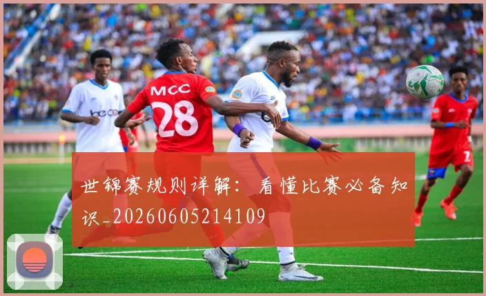世锦赛规则详解:看懂比赛必备知识_20260605214109